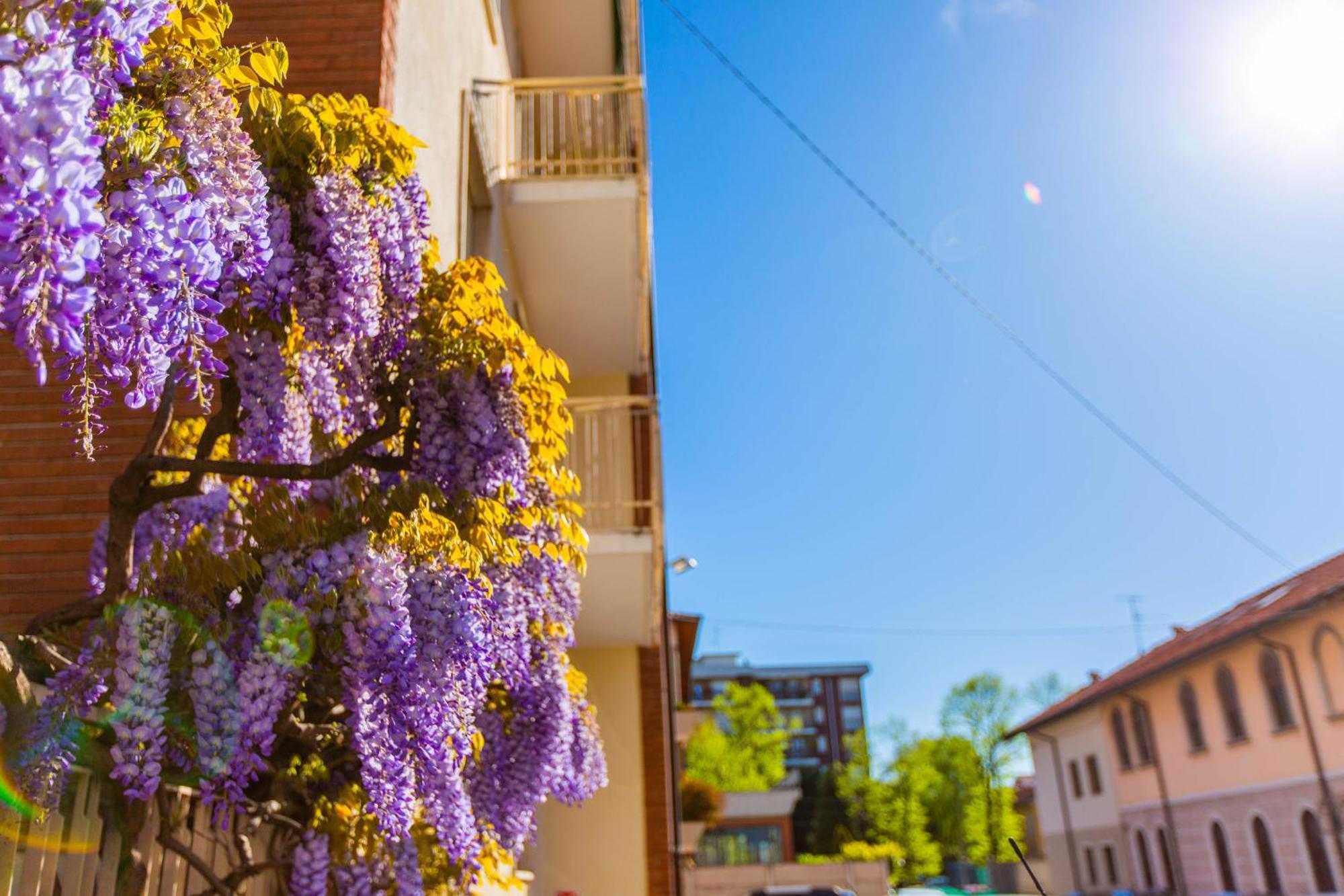 Al 4 Hotel Busto Arsizio Buitenkant foto